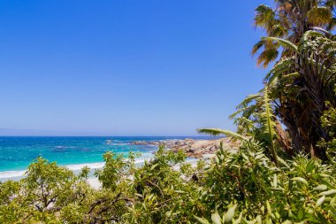 Cape Town 'daki palmiye ağaçlarının arkasına kamp kurar..