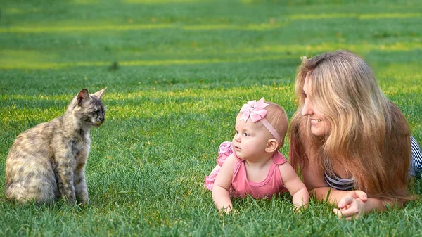 Aile, anne ve küçük kız yeşil çimlere uzanıp gri kediye bakıyorlar..