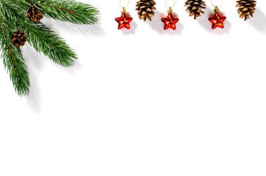 İzole bir arka planda koni ve oyuncaklarla fidan dalı