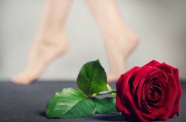 Ön planda büyük kırmızı bir gül ve bulanık bölgede dişi bacaklar..