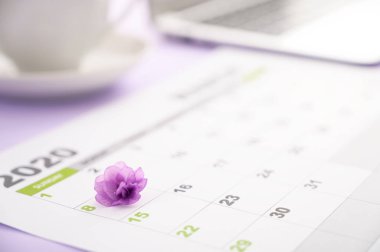 8 Mart 2020, bir fincan kahve ve dizüstü bilgisayarla bir masanın üzerinde duran bir takvime menekşe çiçeği işaretidir..
