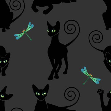 Siyah kedilerde pürüzsüz desen