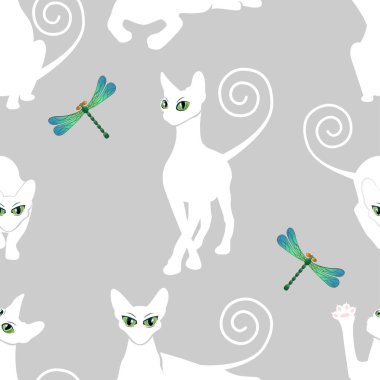  beyaz kedi ile Seamless Modeli