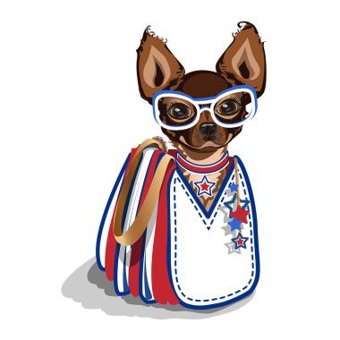 küçük bir köpek ile çanta