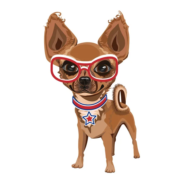 Cãozinho em óculos — Vetor de Stock