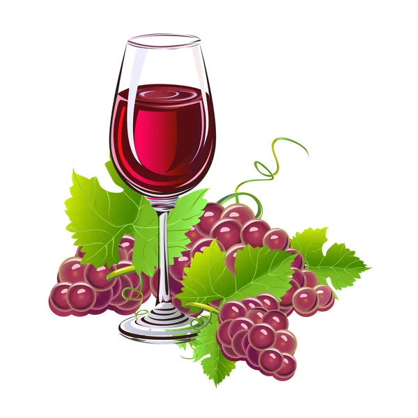 Glas Wein und eine Traube — Stockvektor