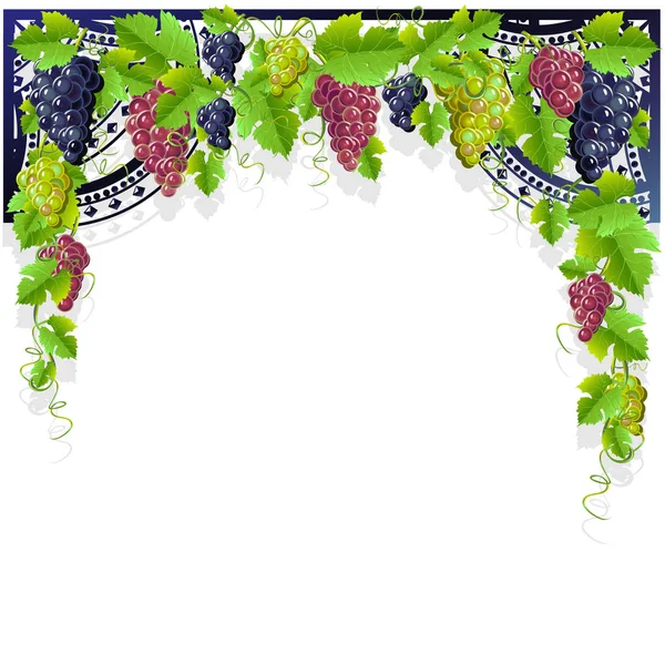 Vintage frame with grape — Stock Vector