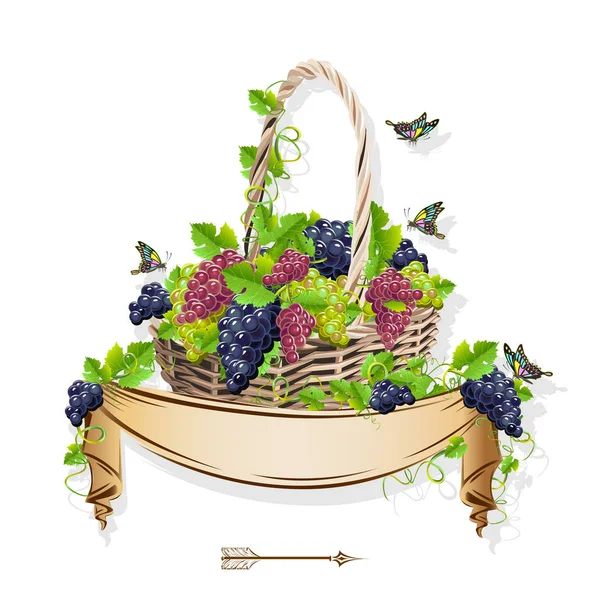 Wicker basket with grapes — Stock Vector