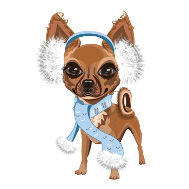 Şapkalı küçük kuçu kuçu