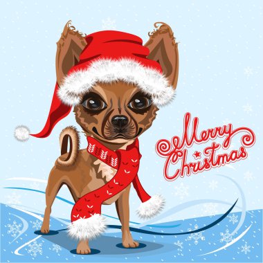 Kırmızı Santa Claus şapka içinde küçük köpek