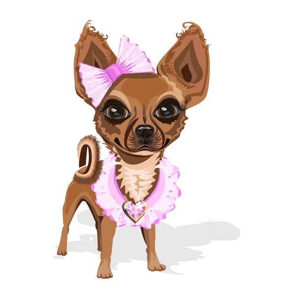 Sweet Little Dog Pink Clothes Cute Vector Illustration — Stock Vector