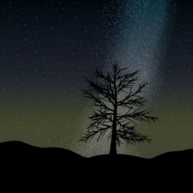 Vektör gece gökyüzü ve ağaç arka plan.