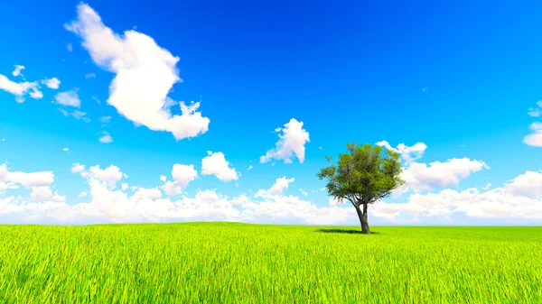 Tree field of grass and perfect sky landscape 3D rendering — Φωτογραφία Αρχείου