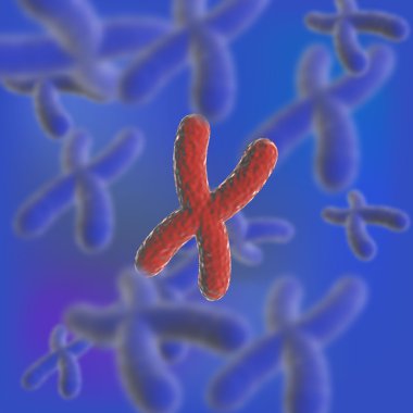 Vektör çizim. Bilim şablon, duvar kağıdı veya afiş bir Dna kromozom molekülleri ile.