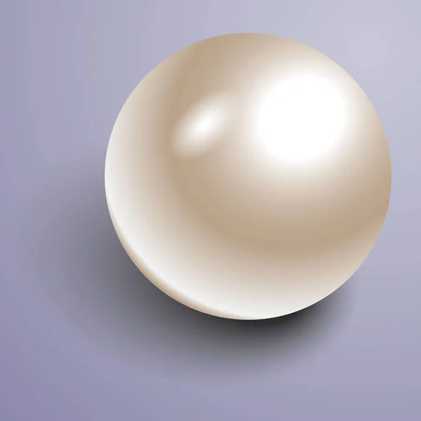 Вектор Красива 3D блискуча натуральна біла перлина — стоковий вектор