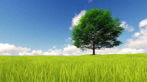 Landschap één boom met wind animatie — Stockvideo