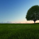 Sonnenuntergang einzelner Baum mit Windanimation