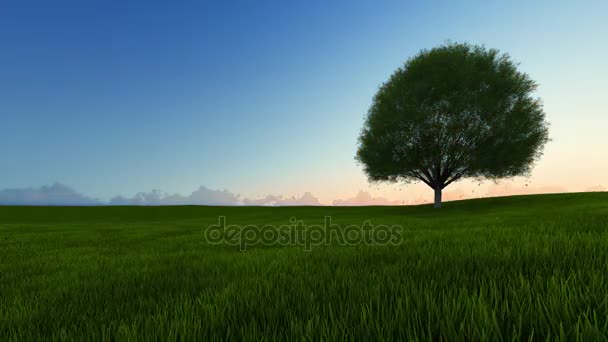 Sunset Single Tree with wind Animation — Free Stock Video