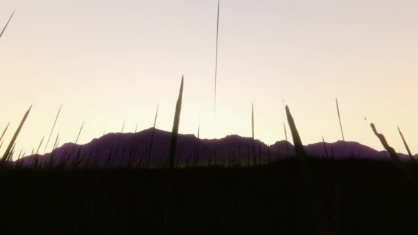 游戏中时光倒流在日出，运行草了来自远方 — 图库视频影像