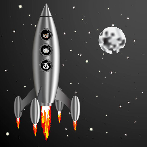Vector Illustration rocket and dog cat mouse fly into space