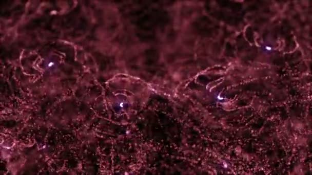 Intro rouge Les particules scintillantes brillent sans couture — Video