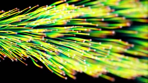 Bio Network clourful wire and ethernet cables — Stock Video