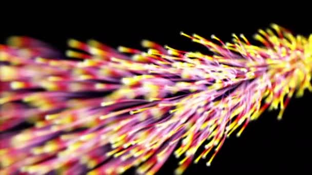 Bio-Netzwerk mit bunten Drähten und Ethernet-Kabeln — Stockvideo