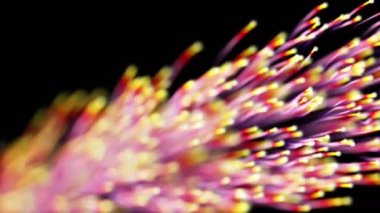 Biyo ağ clourful tel ve ethernet kabloları