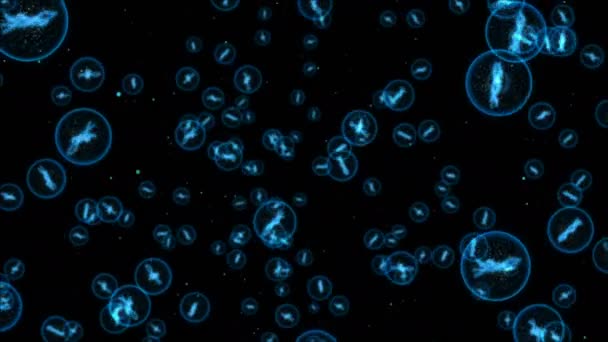 Molécule bleue avec deux ADN capables de boucler sans couture 