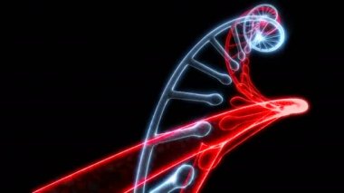 Modeli Dna döndürmek siyah Able için döngü kesintisiz Tarih