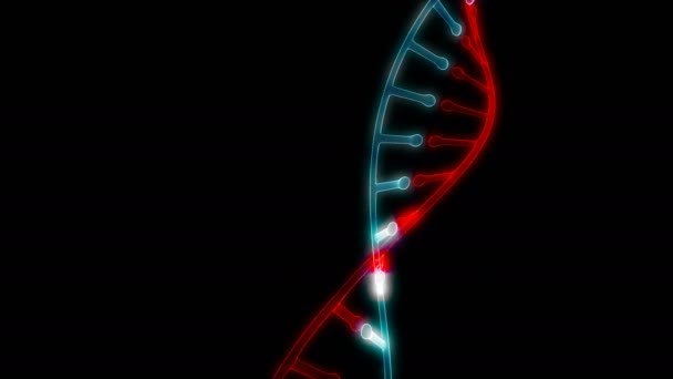 Modello DNA ruotare su nero in grado di loop senza soluzione di continuità — Video Stock