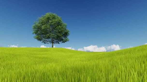 Árbol y césped sobre un fondo de cielo despejado — Vídeo de stock