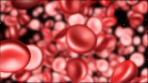 Красные кровяные тельца могут бесшовно петлять — стоковое видео