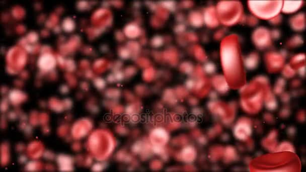 Glóbulos rojos capaces de bucle sin fisuras — Vídeos de Stock