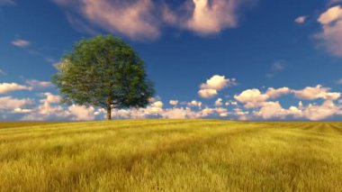 Alan rüzgarlı bulutlu gökyüzü üzerinde yeşil ağaç