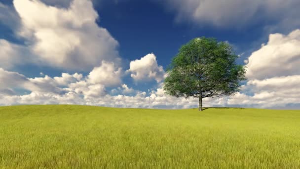 Alan rüzgarlı bulutlu gökyüzü üzerinde yeşil ağaç — Stok video
