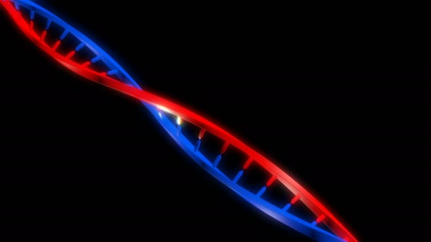 ДНК-нить, способная зацикливаться бесшовно — стоковое видео