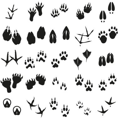 Silhouettes animal birds and mammals footprints set Vector icons. clipart