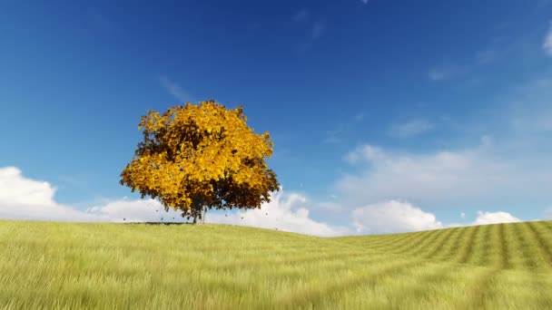 Herbst ein Baum auf dem Feld fallende Blätter — Stockvideo