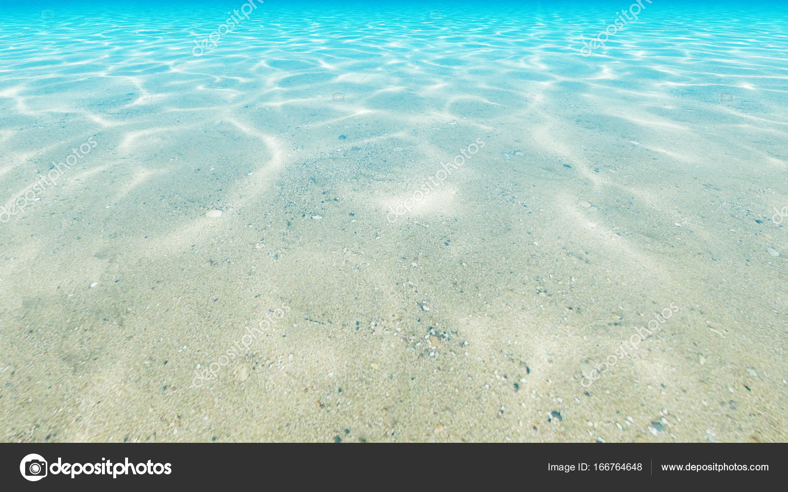 Under Blue Clear Sea Ocean Floor 3d Render Stock Photo C Zozu