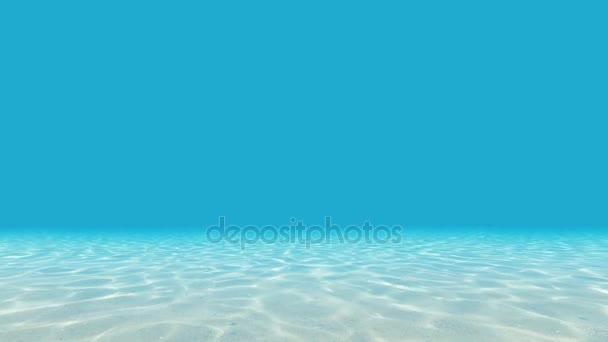 Bajo el mar el mar azul el agua clara. Suelo del océano . — Vídeo de stock