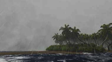 Palmiye ağaçları ile fırtınalı hava