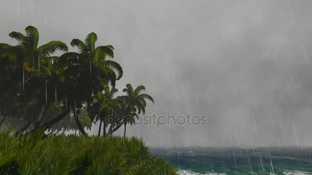 暴风雨的天气与棕榈树 — 图库视频影像