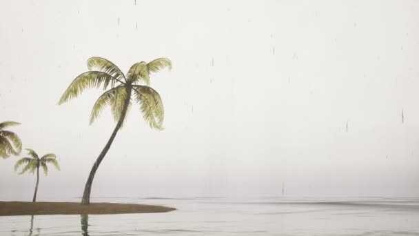 Tempo tempestuoso com palmeiras — Vídeo de Stock