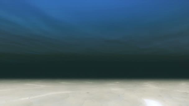 Красивое подводное море — стоковое видео