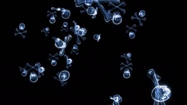 Os et crâne capables de boucler 