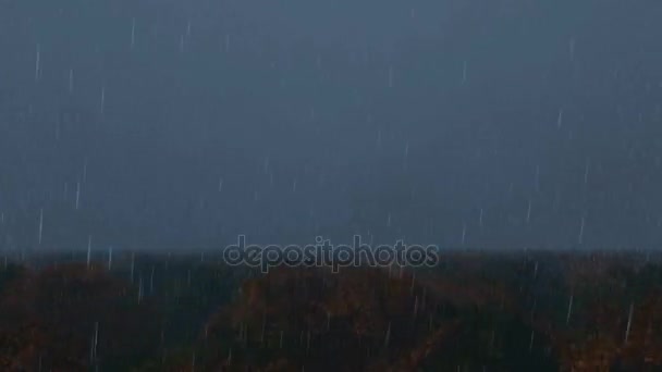 Lluvia y relámpagos en el bosque — Vídeo de stock