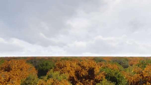 Vista aérea otoño bosque paisaje — Vídeos de Stock