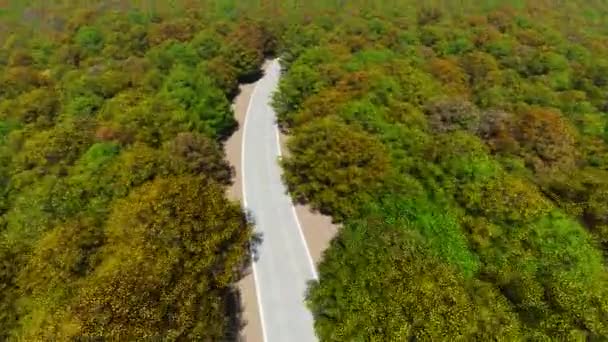 Vista aérea carretera del país en bosque de otoño . — Vídeo de stock gratis