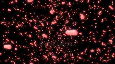 Kırmızı bakteri enfeksiyonu döngü gerçekleştirmek mümkün